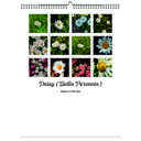 Daisy 2026 Wall Calendar - Botanical Photography - 12-Month Bloom Series - 8.5x11 Wire-O Hanging Planner