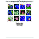Delphinium 2026 Wall Calendar - Botanical Photography - 12-Month Bloom Series - 8.5x11 Wire-O Hanging Planner