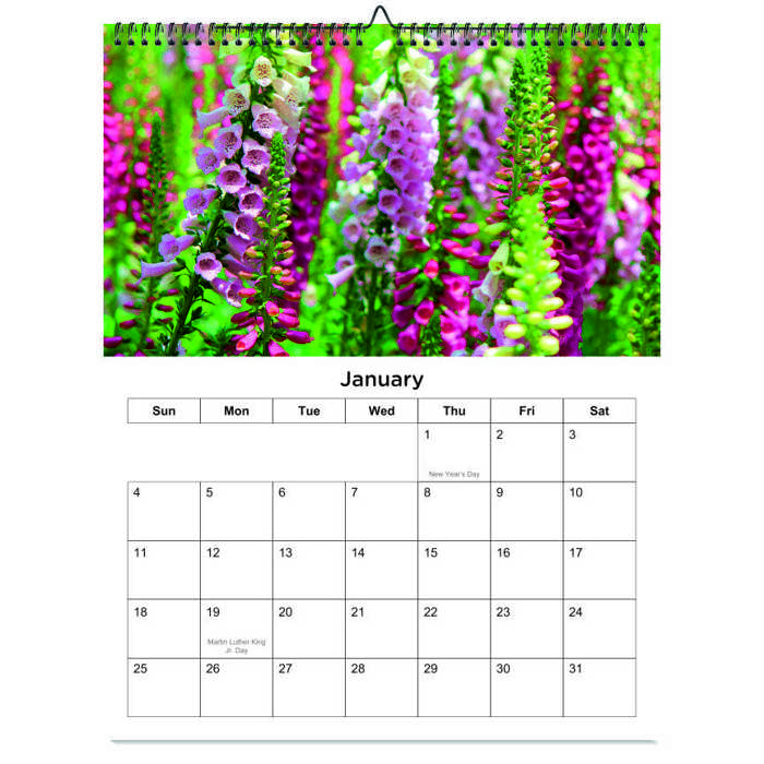 2026 Wall Calendar - Botanical Photography - 12-Month Bloom Series - 8.5x11 Wire-O Hanging Planner