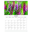 Foxglove 2026 Wall Calendar - Botanical Photography - 12-Month Bloom Series - 8.5x11 Wire-O Hanging Planner