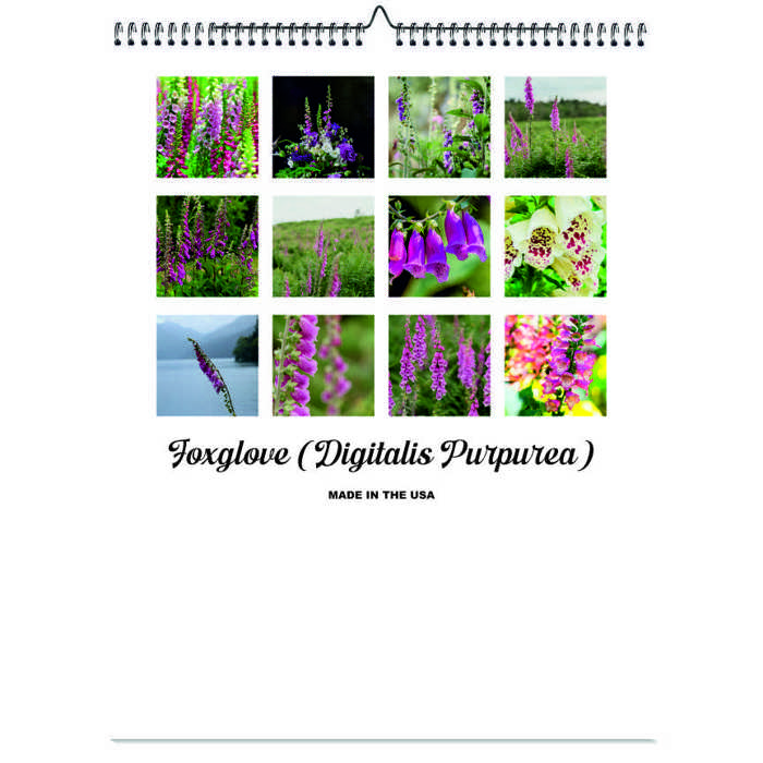 2026 Wall Calendar - Botanical Photography - 12-Month Bloom Series - 8.5x11 Wire-O Hanging Planner