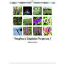 Foxglove 2026 Wall Calendar - Botanical Photography - 12-Month Bloom Series - 8.5x11 Wire-O Hanging Planner
