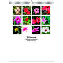 Hibiscus 2026 Wall Calendar - Botanical Photography - 12-Month Bloom Series - 8.5x11 Wire-O Hanging Planner