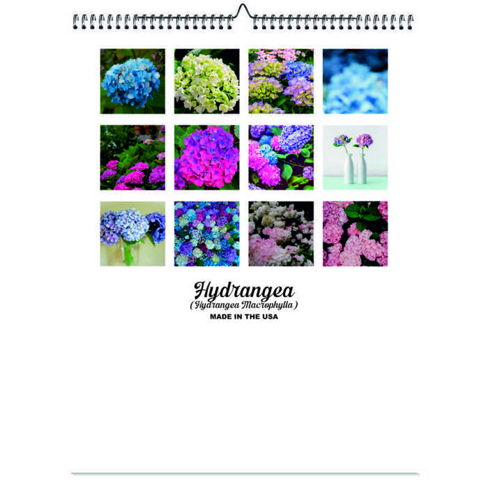 2026 Wall Calendar - Botanical Photography - 12-Month Bloom Series - 8.5x11 Wire-O Hanging Planner