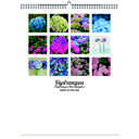 Hydrangea 2026 Wall Calendar - Botanical Photography - 12-Month Bloom Series - 8.5x11 Wire-O Hanging Planner