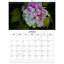 Peony 2026 Wall Calendar - Botanical Photography - 12-Month Bloom Series - 8.5x11 Wire-O Hanging Planner
