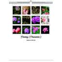 Peony 2026 Wall Calendar - Botanical Photography - 12-Month Bloom Series - 8.5x11 Wire-O Hanging Planner