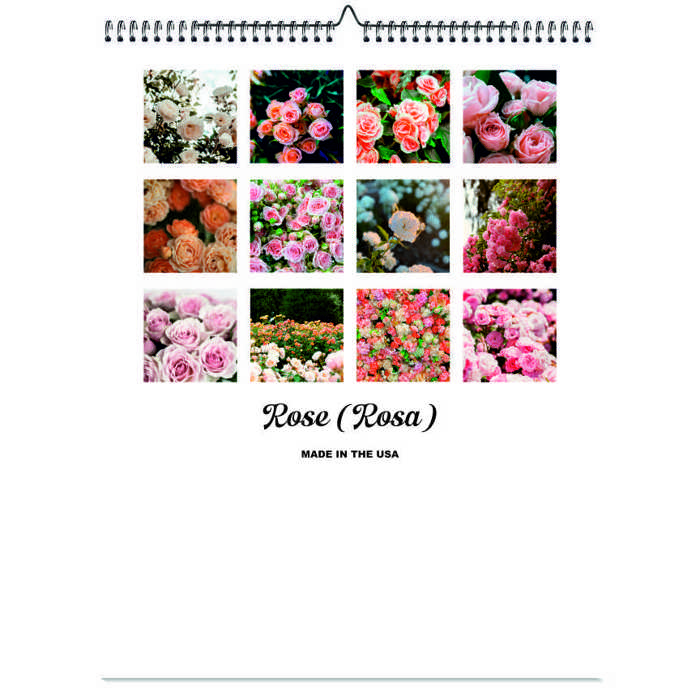 2026 Wall Calendar - Botanical Photography - 12-Month Bloom Series - 8.5x11 Wire-O Hanging Planner