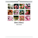 Rose 2026 Wall Calendar - Botanical Photography - 12-Month Bloom Series - 8.5x11 Wire-O Hanging Planner