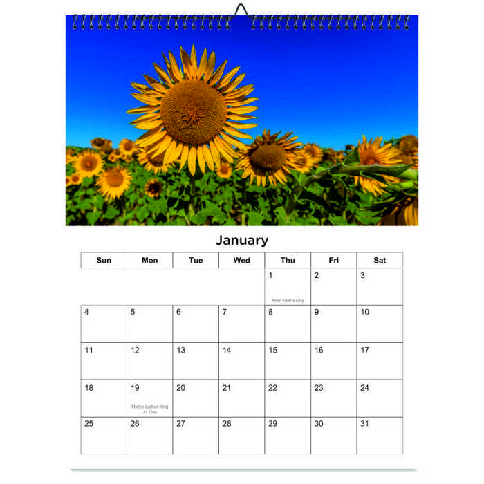 2026 Wall Calendar - Botanical Photography - 12-Month Bloom Series - 8.5x11 Wire-O Hanging Planner