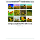Sunflower 2026 Wall Calendar - Botanical Photography - 12-Month Bloom Series - 8.5x11 Wire-O Hanging Planner