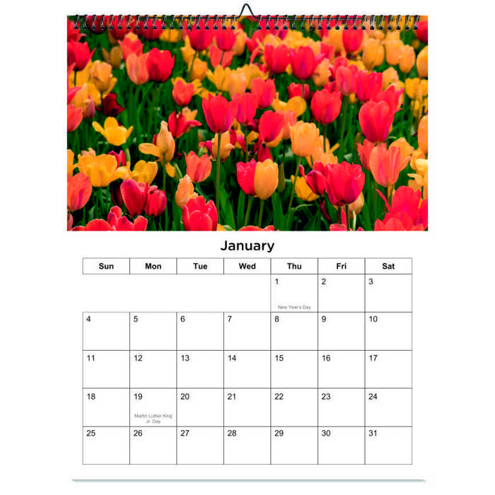 2026 Wall Calendar - Botanical Photography - 12-Month Bloom Series - 8.5x11 Wire-O Hanging Planner