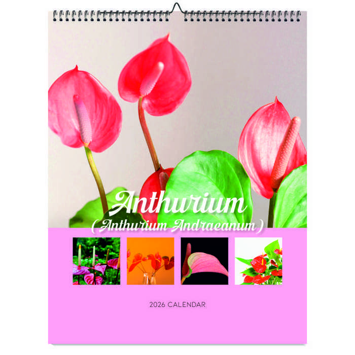 2026 Wall Calendar - Botanical Photography - 12-Month Bloom Series - 8.5x11 Wire-O Hanging Planner