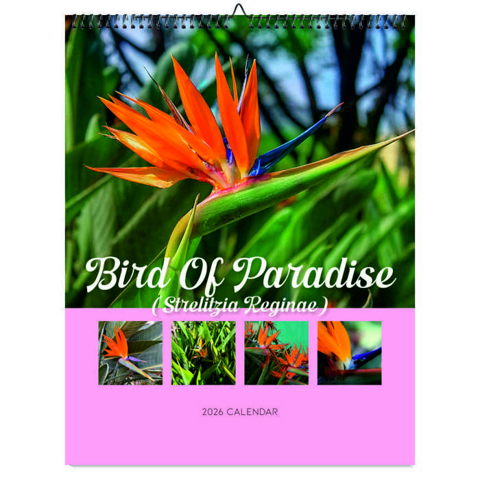 2026 Wall Calendar - Botanical Photography - 12-Month Bloom Series - 8.5x11 Wire-O Hanging Planner