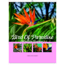 Bird Of Paradise 2026 Wall Calendar - Botanical Photography - 12-Month Bloom Series - 8.5x11 Wire-O Hanging Planner