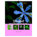 Bluebell 2026 Wall Calendar - Botanical Photography - 12-Month Bloom Series - 8.5x11 Wire-O Hanging Planner