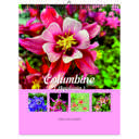 Columbine 2026 Wall Calendar - Botanical Photography - 12-Month Bloom Series - 8.5x11 Wire-O Hanging Planner