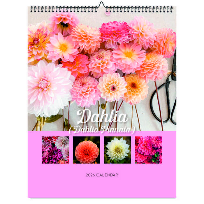 2026 Wall Calendar - Botanical Photography - 12-Month Bloom Series - 8.5x11 Wire-O Hanging Planner