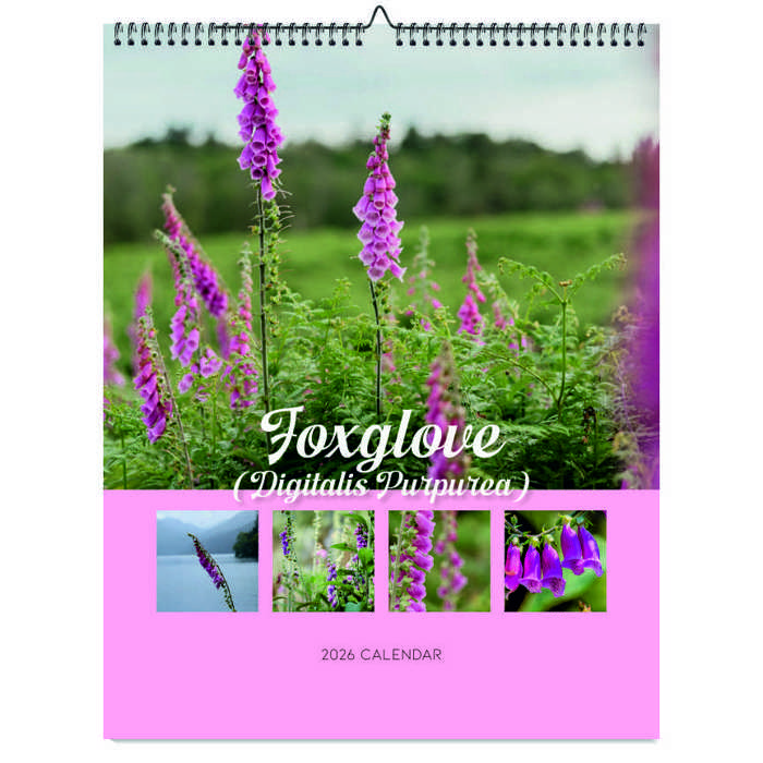 2026 Wall Calendar - Botanical Photography - 12-Month Bloom Series - 8.5x11 Wire-O Hanging Planner