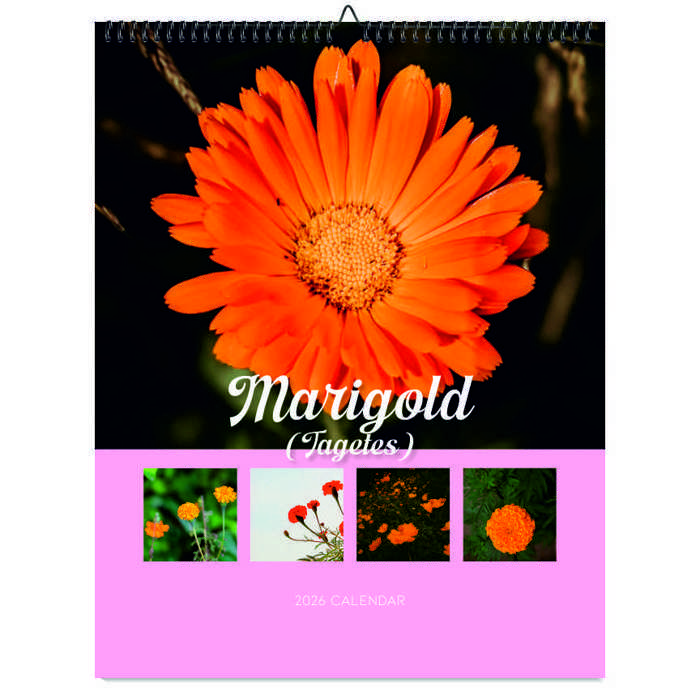 2026 Wall Calendar - Botanical Photography - 12-Month Bloom Series - 8.5x11 Wire-O Hanging Planner
