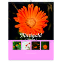 Marigold 2026 Wall Calendar - Botanical Photography - 12-Month Bloom Series - 8.5x11 Wire-O Hanging Planner