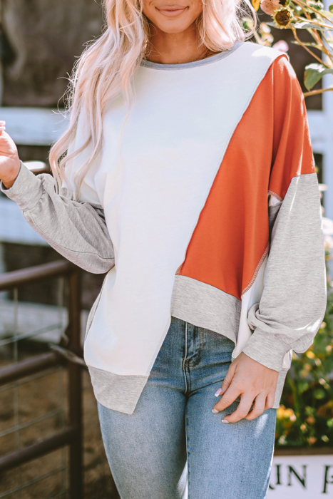 HIDDEN GEMS | Colorblock Long Sleeve Top