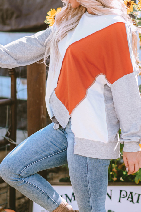 HIDDEN GEMS | Colorblock Long Sleeve Top