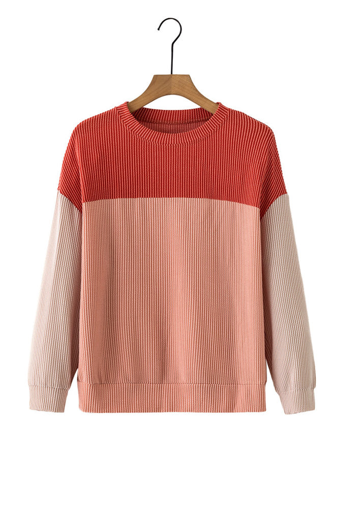 HIDDEN GEMS Crissy Colorblock Ribbed Top