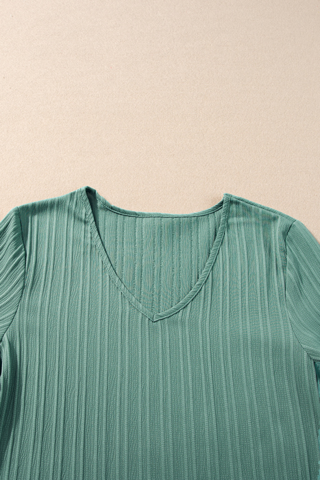HIDDEN GEMS | Textured Ruffle Sleeve V-Neck Top