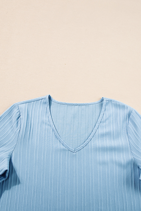 HIDDEN GEMS | Textured Ruffle Sleeve V-Neck Top