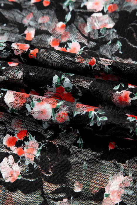 HIDDEN GEMS | Floral Lace Mesh Long Sleeve Top