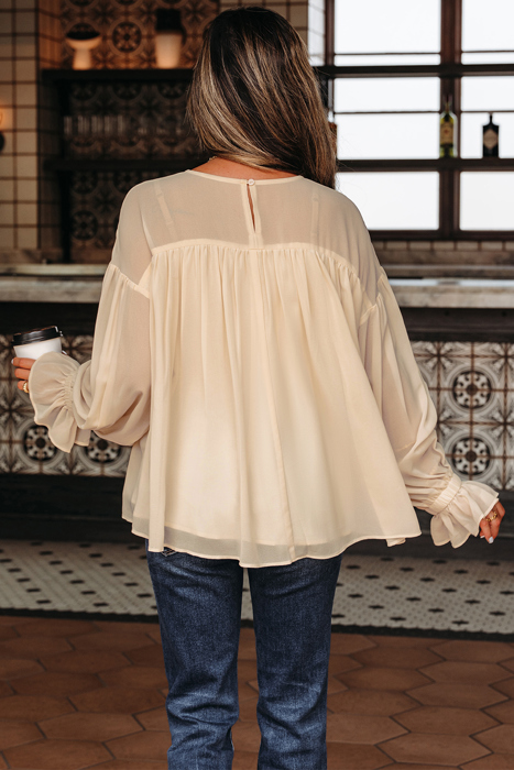 HIDDEN GEMS | Chiffon Pleated Ruffle Long Sleeve Blouse