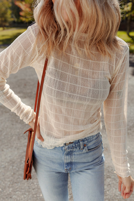 HIDDEN GEMS | Sheer Plaid Mesh Long Sleeve Top