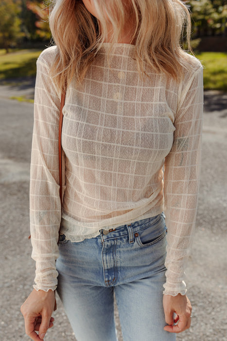 HIDDEN GEMS | Sheer Plaid Mesh Long Sleeve Top