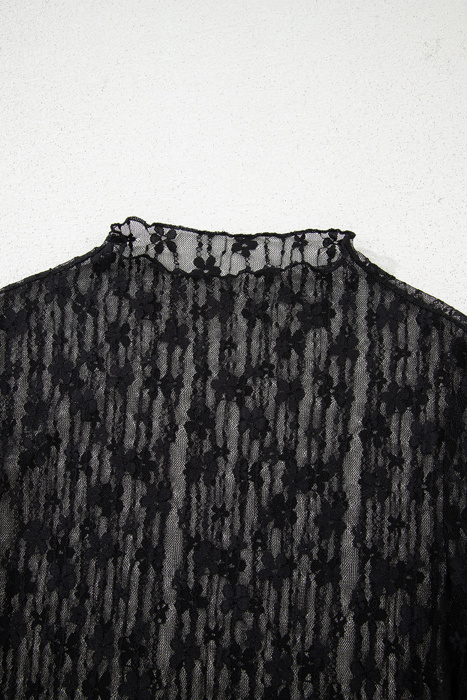 HIDDEN GEMS | Floral Sheer Lace Long Sleeve Top