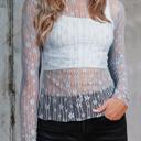 Ashleigh Blue Small HIDDEN GEMS | Floral Sheer Lace Long Sleeve Top