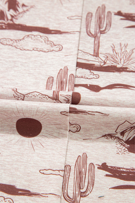 HIDDEN GEMS | Desert Daze Western Tee