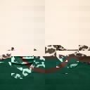  Wild Spirit Leopard Trim Everyday T-Shirt