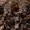  Wildly Free Leopard Tee