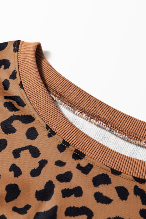 HIDDEN GEMS | Leopard Stripe Patchwork Sweatshirt