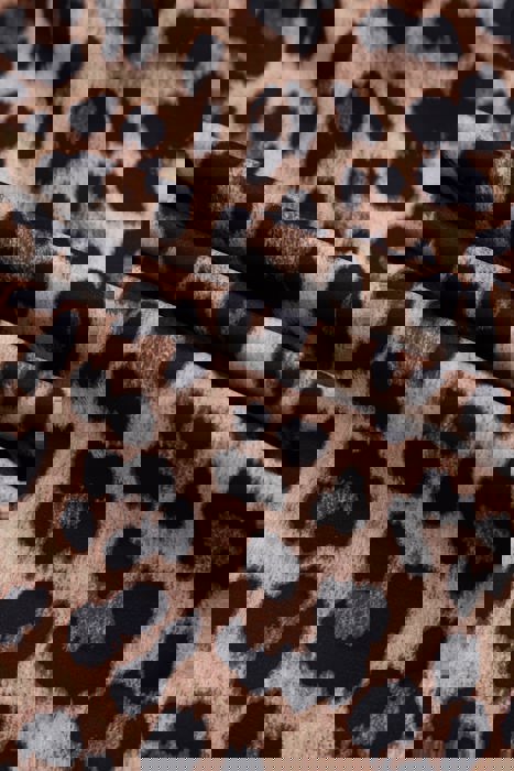 Madeline Leopard and Lace Buttoned Blouse