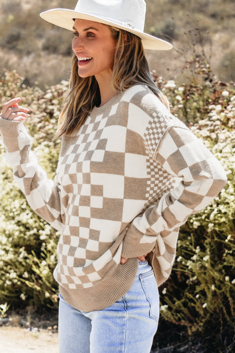 HIDDEN GEMS | Checker Round Neck Drop Shoulder Sweater