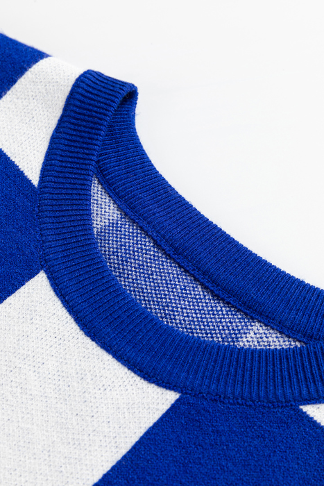 HIDDEN GEMS | Checker Round Neck Sleeveless Sweater