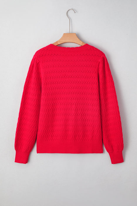HIDDEN GEMS | Solid Knit Ribbed Cuff Crewneck Sweater