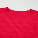  HIDDEN GEMS | Solid Knit Ribbed Cuff Crewneck Sweater