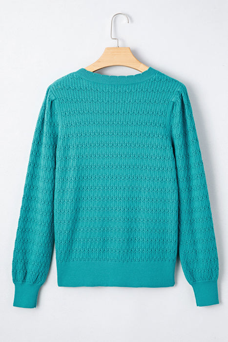 HIDDEN GEMS | Solid Knit Ribbed Cuff Crewneck Sweater