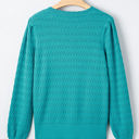  HIDDEN GEMS | Solid Knit Ribbed Cuff Crewneck Sweater
