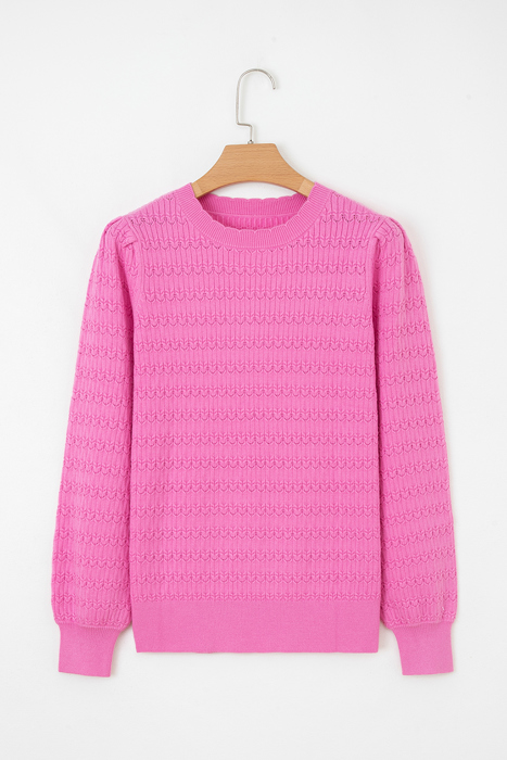 HIDDEN GEMS | Solid Knit Ribbed Cuff Crewneck Sweater