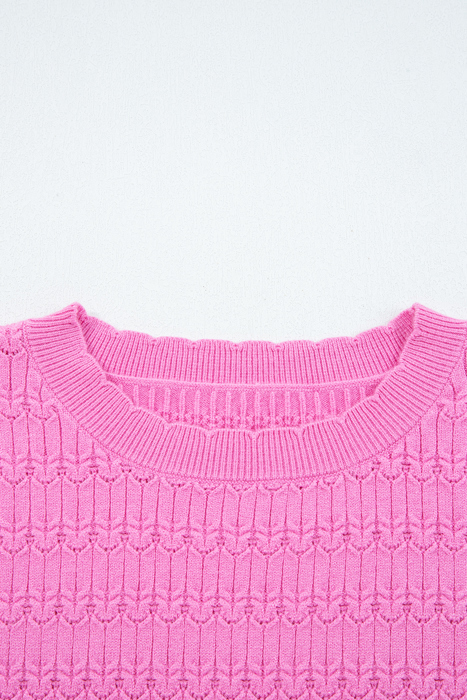 HIDDEN GEMS | Solid Knit Ribbed Cuff Crewneck Sweater