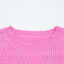  HIDDEN GEMS | Solid Knit Ribbed Cuff Crewneck Sweater
